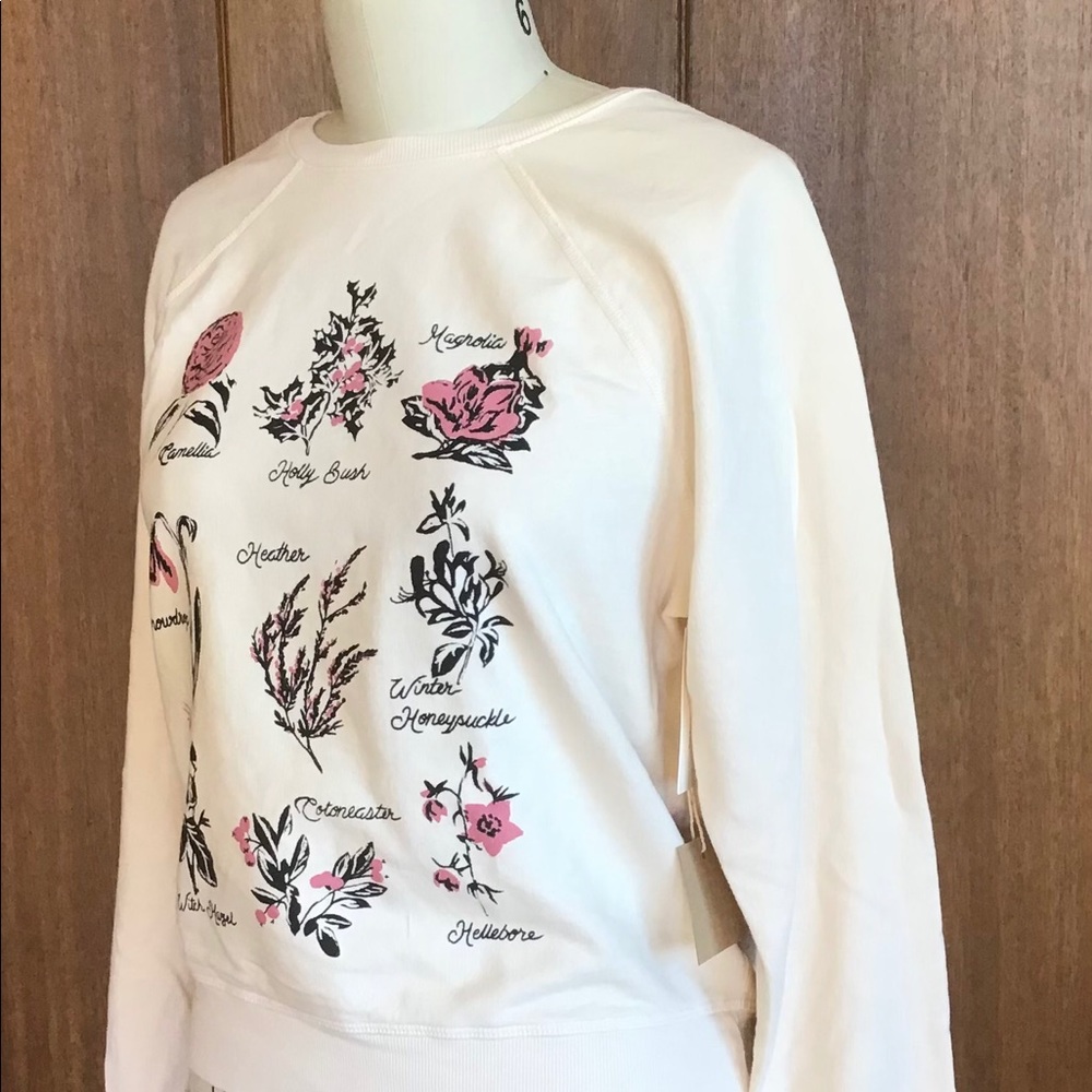 Anthropologie Sweatshirt